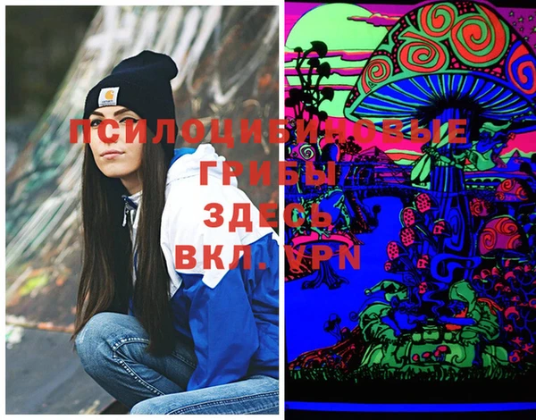 прущая мука Алзамай
